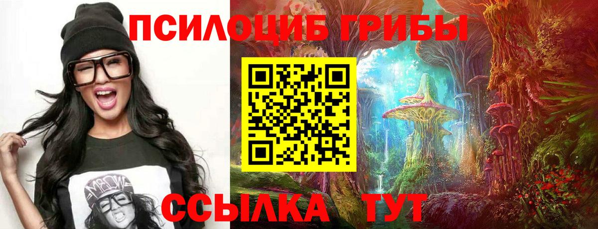 Псилоцибиновые грибы GOLDEN TEACHER Анжеро-Судженск